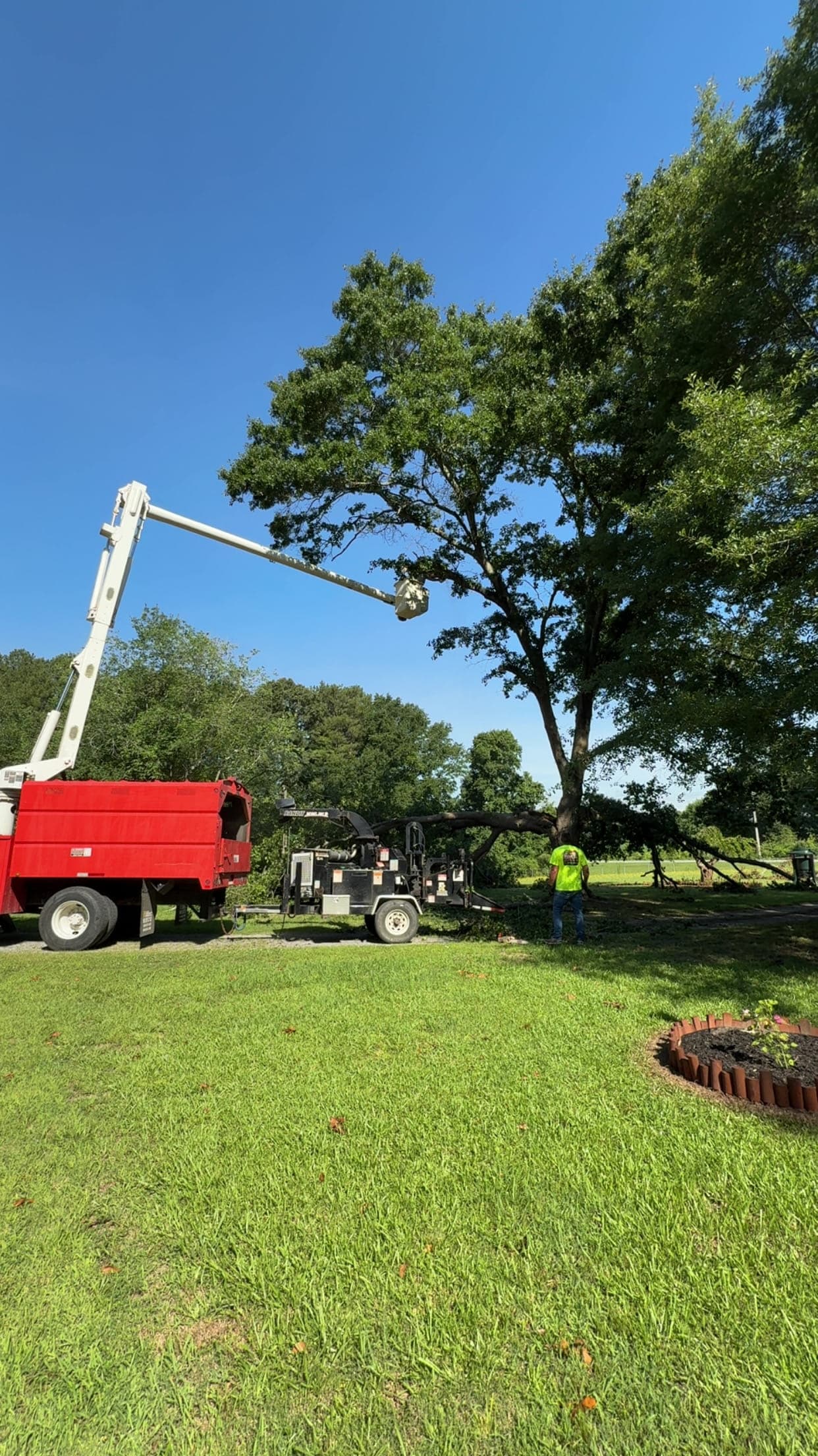 Bucket truck trimming and pruning a large tree in Calhoun, GA