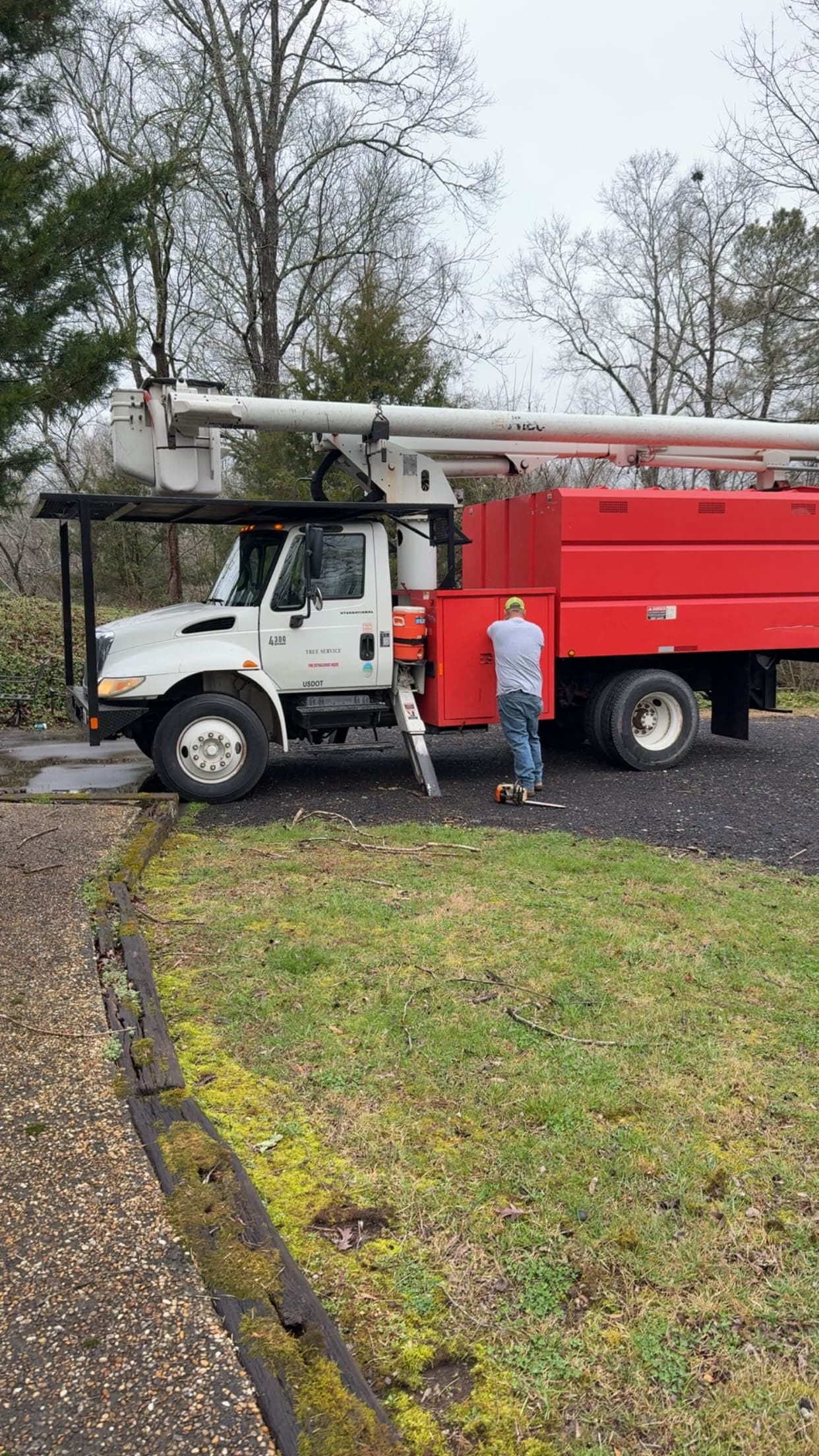 BTS Tree Removal bucket truck and chip truck on a tree removal job