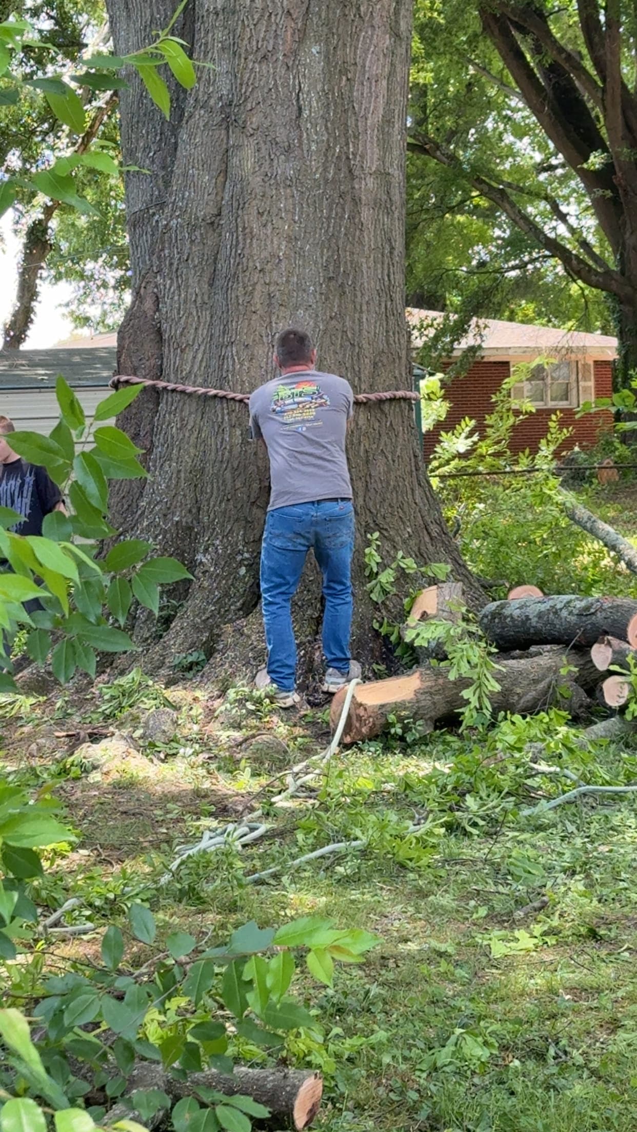 BTS Tree Removal crew member removing a very large tree in Calhoun, GA